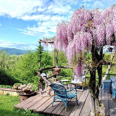 Tuscan Hills - Stonehouse, Garden & Pool Vicchio Dış mekan fotoğraf