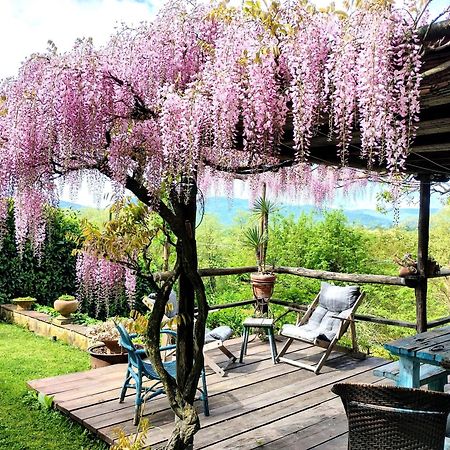 Tuscan Hills - Stonehouse, Garden & Pool Vicchio Dış mekan fotoğraf