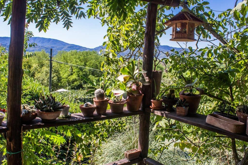Tuscan Hills - Stonehouse, Garden & Pool Vicchio Dış mekan fotoğraf
