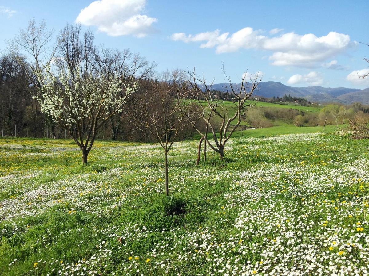 Tuscan Hills - Stonehouse, Garden & Pool Vicchio Dış mekan fotoğraf