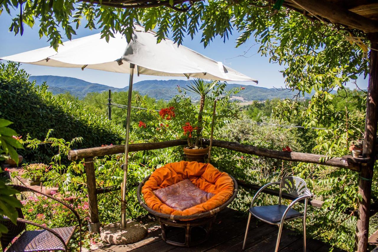 Tuscan Hills - Stonehouse, Garden & Pool Vicchio Dış mekan fotoğraf