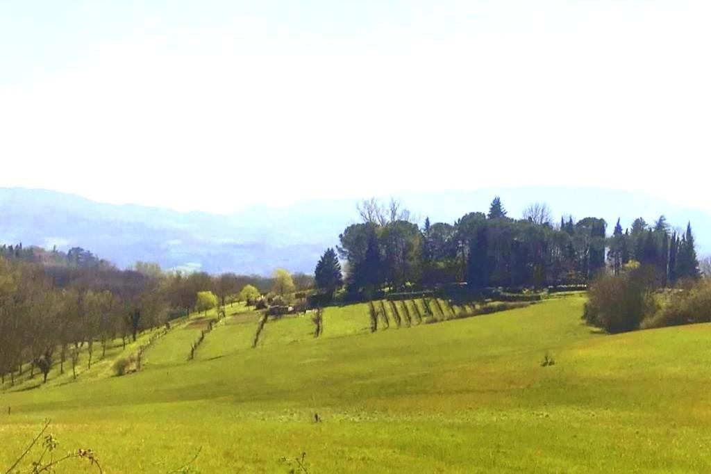 Tuscan Hills - Stonehouse, Garden & Pool Vicchio Dış mekan fotoğraf