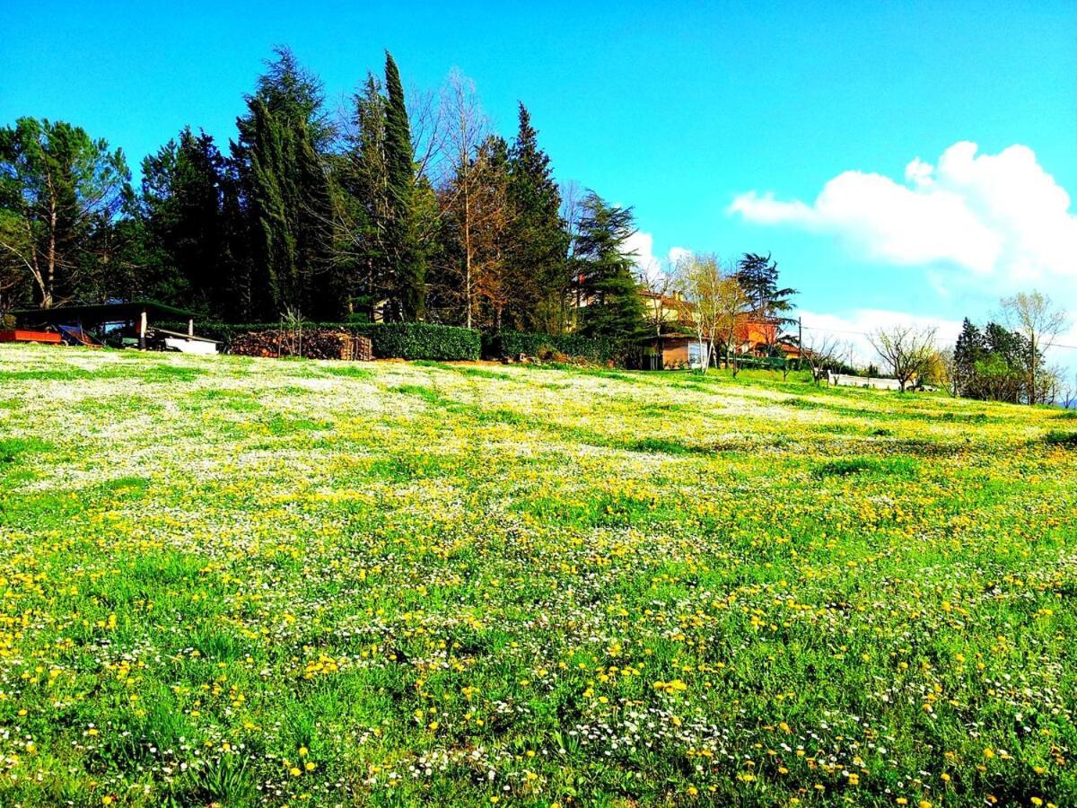 Tuscan Hills - Stonehouse, Garden & Pool Vicchio Dış mekan fotoğraf