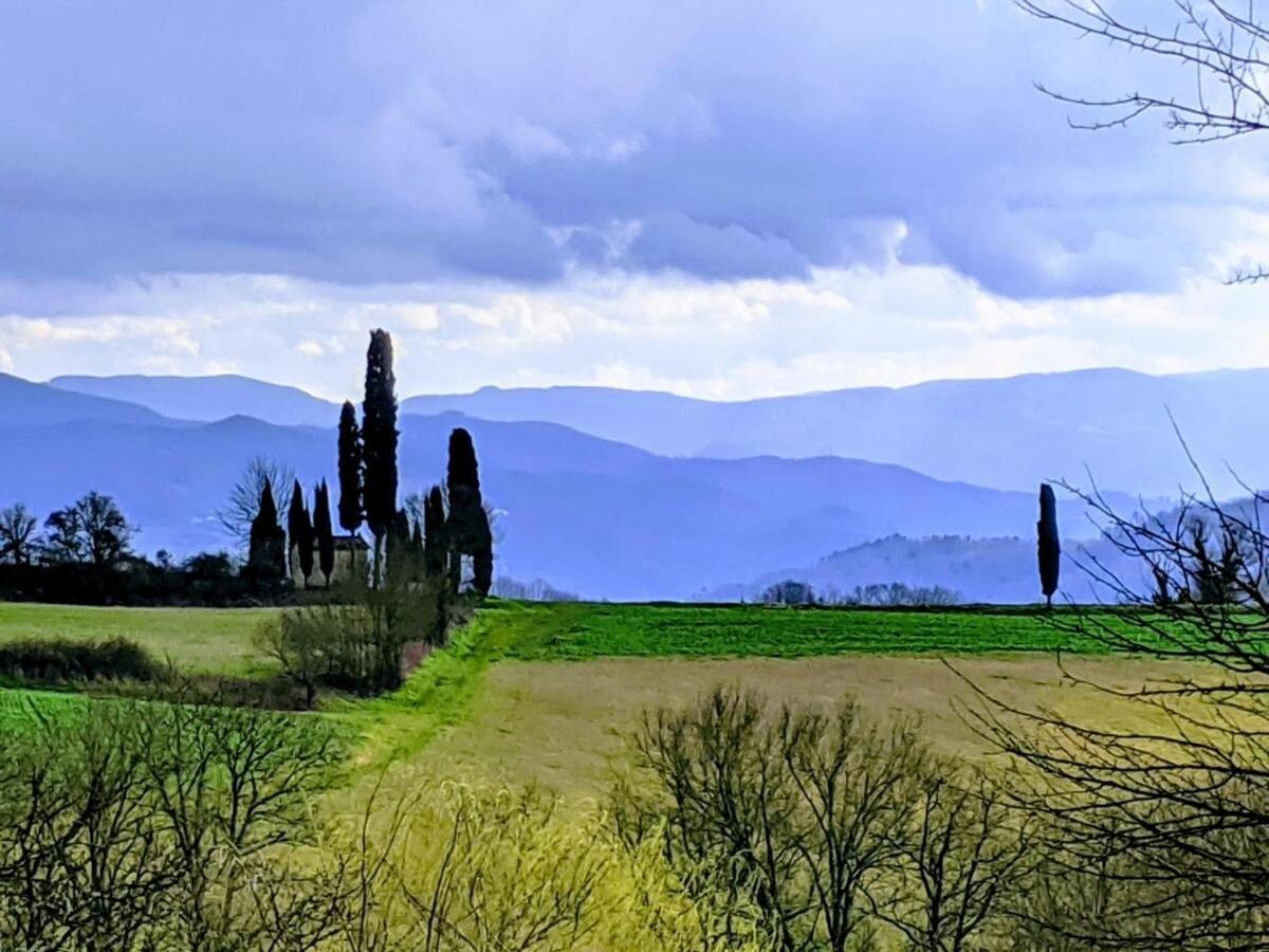 Tuscan Hills - Stonehouse, Garden & Pool Vicchio Dış mekan fotoğraf