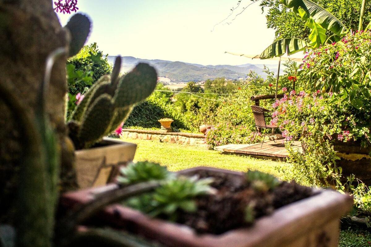 Tuscan Hills - Stonehouse, Garden & Pool Vicchio Dış mekan fotoğraf