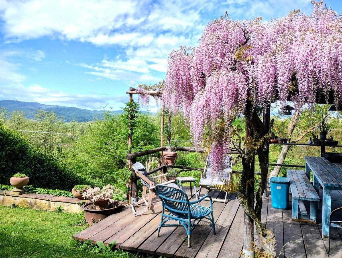 Tuscan Hills - Stonehouse, Garden & Pool Vicchio Dış mekan fotoğraf