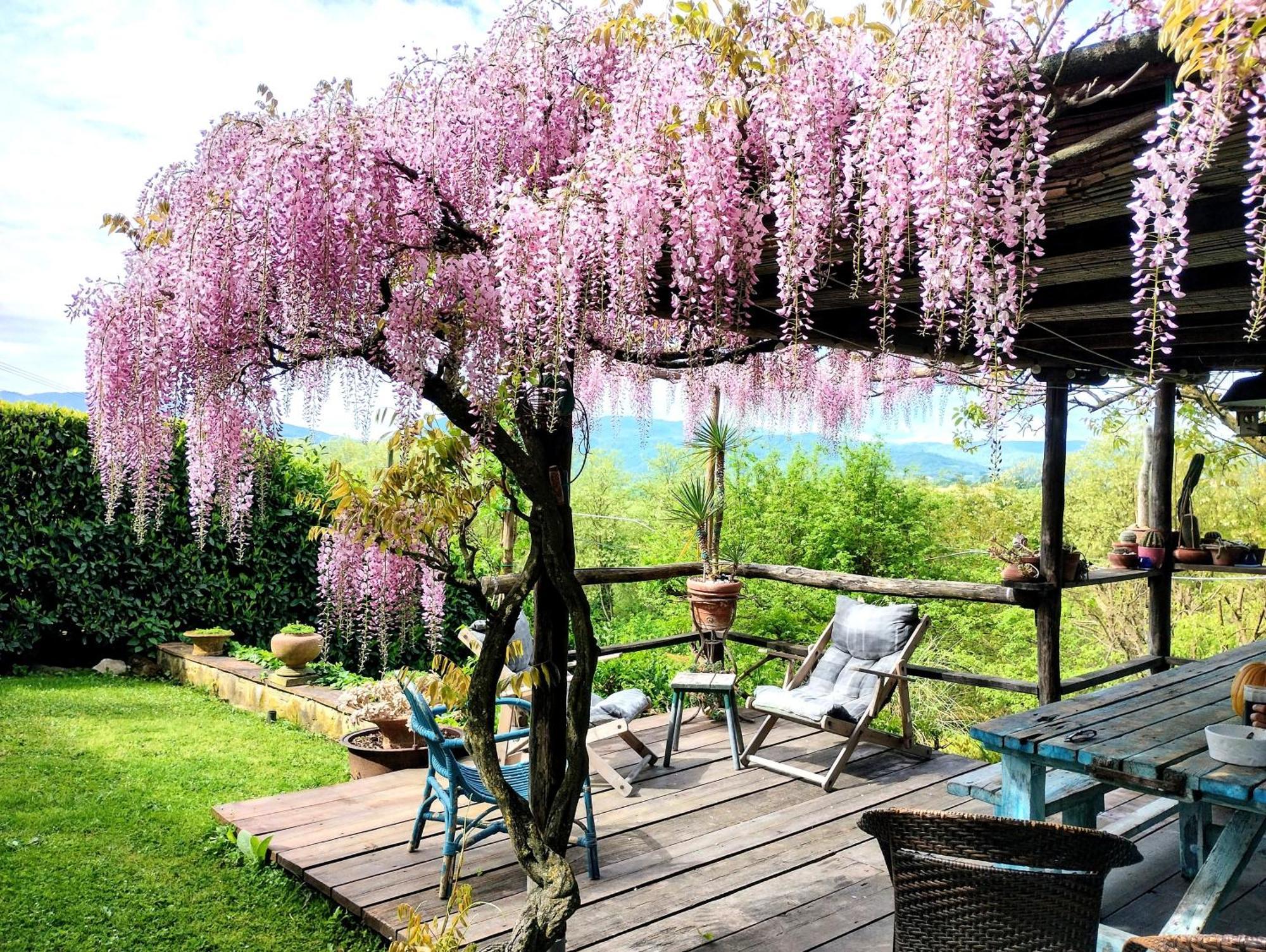 Tuscan Hills - Stonehouse, Garden & Pool Vicchio Dış mekan fotoğraf